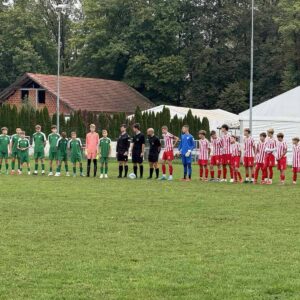 Read more about the article DOLG TEDEN TEKEM JE ZA NAMI