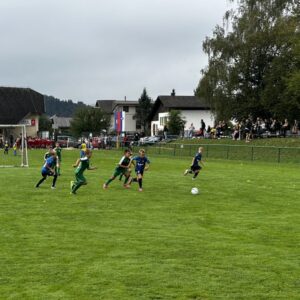 Read more about the article U10 NK Komenda na turnirju Virska Jesen