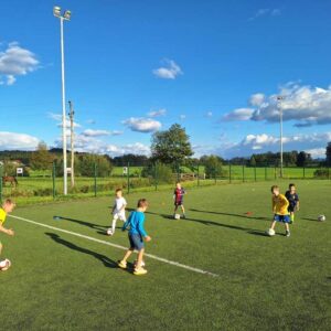 Read more about the article Selekcija U8 pridno trenira pod vodstvom trenerja Roka