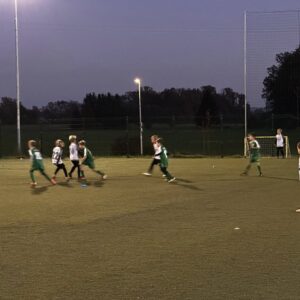 Read more about the article U10 NK Komenda