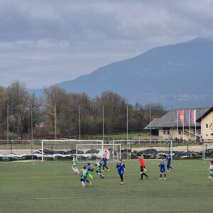 Read more about the article U13B