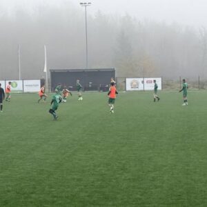 Read more about the article U15 Trebnje