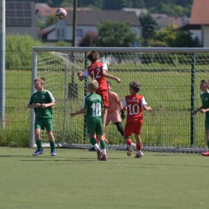 Read more about the article U11 NK Komenda : NK Svoboda Ljubljana
